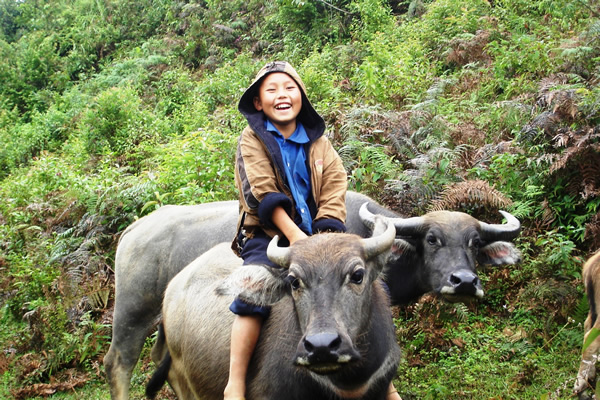 Sapa: Overnight in village