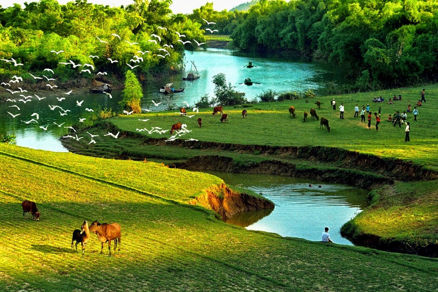 Hoa Lu - Tam Coc